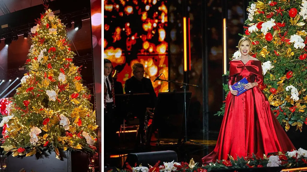 Dalla Calabria a Roma, i fiori dei vivai vibonesi protagonisti del Concerto di Natale in Vaticano\n