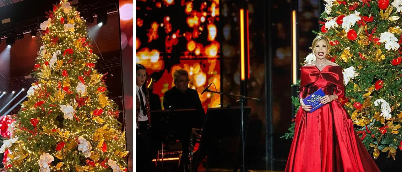 Dalla Calabria a Roma, i fiori dei vivai vibonesi protagonisti del Concerto di Natale in Vaticano\n