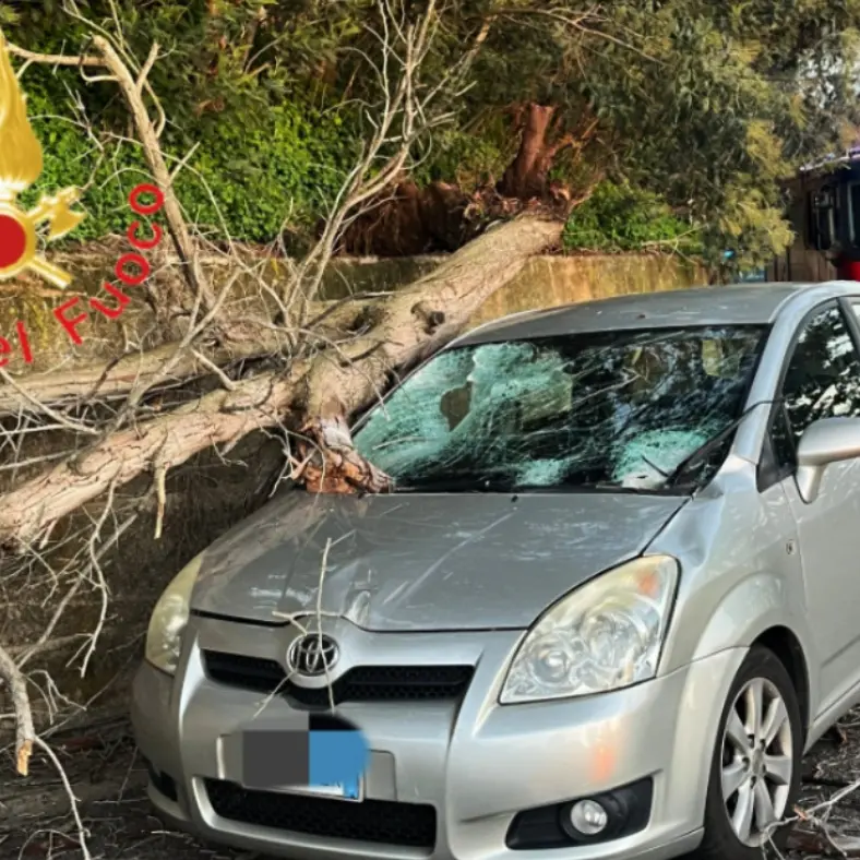 Incidente a Gizzeria, albero cade e travolge una macchina: due feriti\n