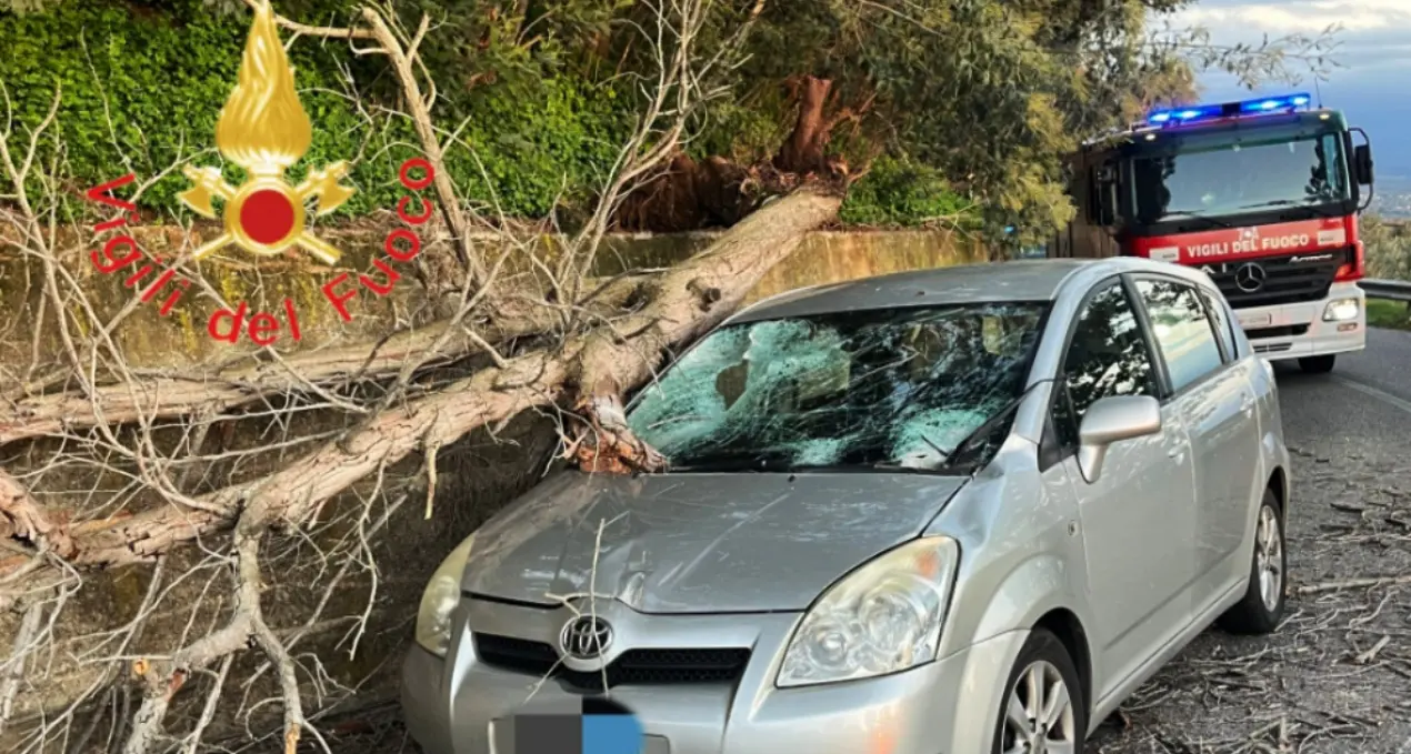 Incidente a Gizzeria, albero cade e travolge una macchina: due feriti\n