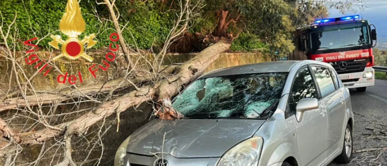 Incidente a Gizzeria, albero cade e travolge una macchina: due feriti\n
