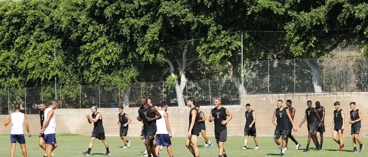 Serie D, Castrumfavara-Reggina rinviata a data da destinarsi: ufficiale la decisione della LND