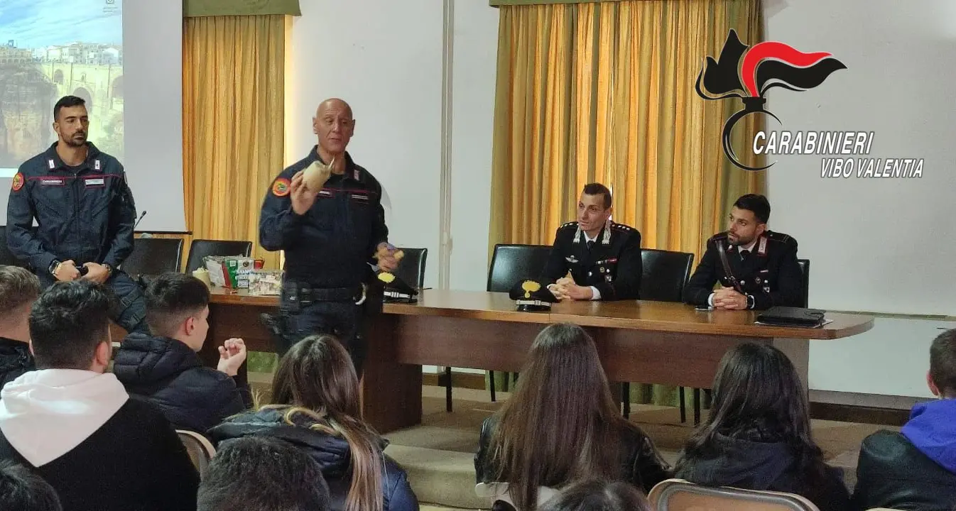 Botti di Capodanno, i carabinieri nelle scuole del Vibonese per sensibilizzare a un uso responsabile