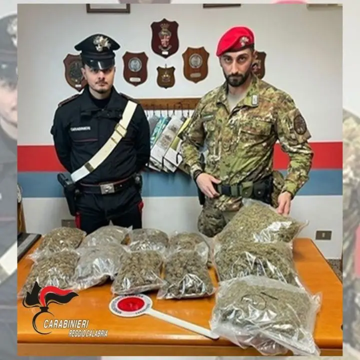 Trovati a Platì 4,5 chili di marijuana e 50 munizioni: erano nascosti vicino a un casolare\n