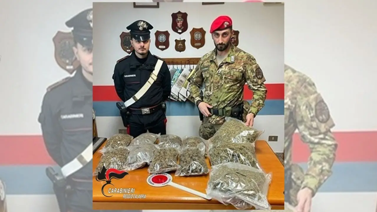 Trovati a Platì 4,5 chili di marijuana e 50 munizioni: erano nascosti vicino a un casolare\n