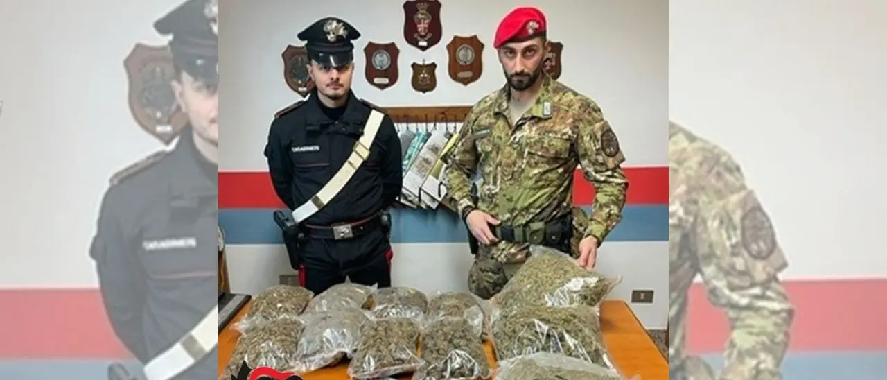 Trovati a Platì 4,5 chili di marijuana e 50 munizioni: erano nascosti vicino a un casolare\n
