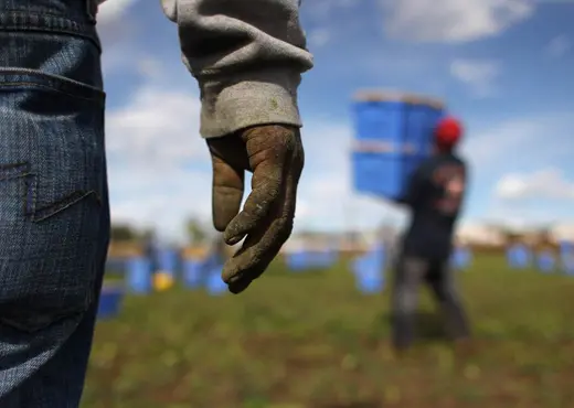 Lavoratori in nero e sicurezza carente, denunce e sanzioni per 60mila euro nella Piana di Gioia Tauro