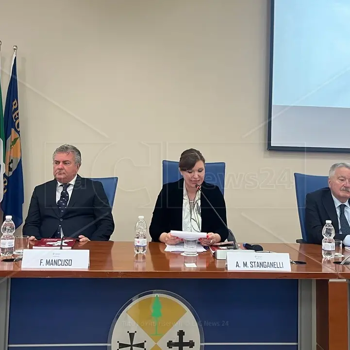 Sanità, Stanganelli: «In Calabria lunghe liste di attesa e carenza di posti letto. Le maggiori criticità segnalate riguardano l’Asp di Cosenza e il Gom di Reggio»\n