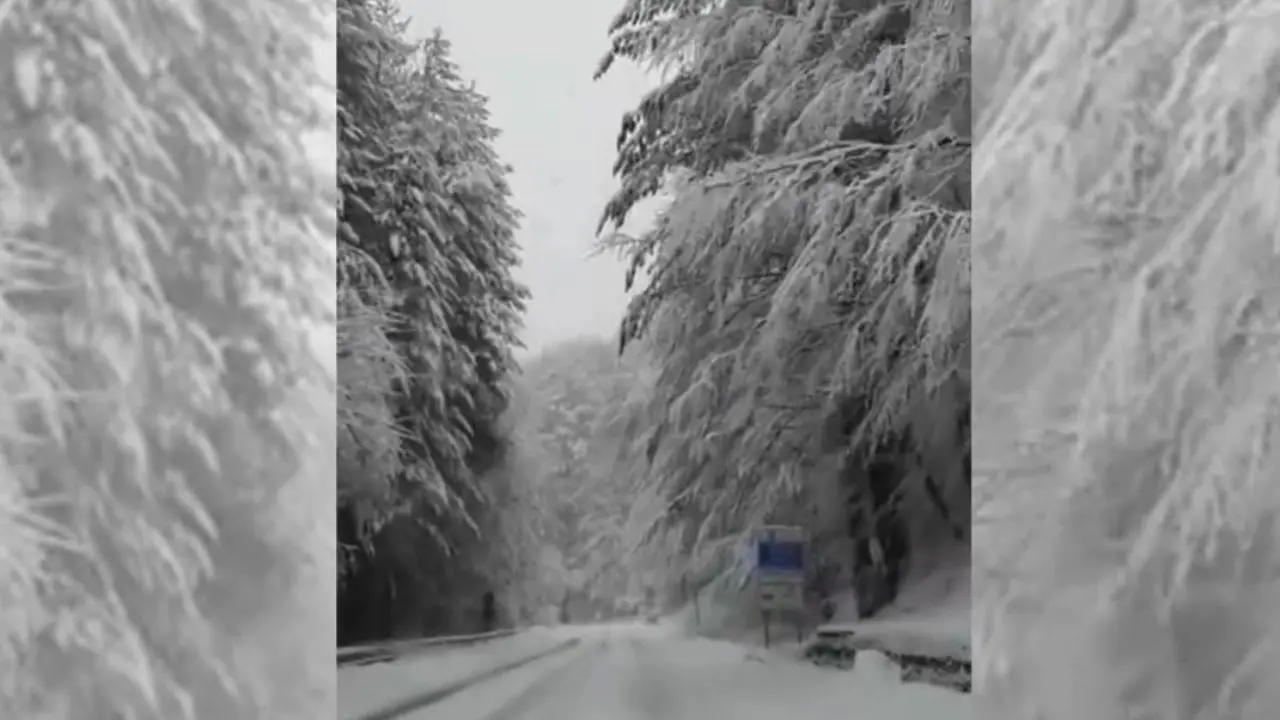 Nevicata in corso sulla Sila Cosentina