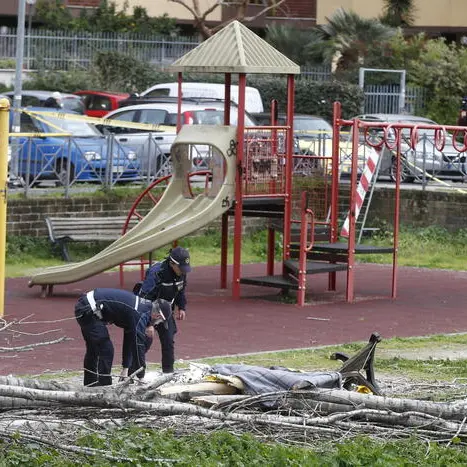 Donna muore travolta da un albero caduto per il vento: era al parco con i tre figli piccoli