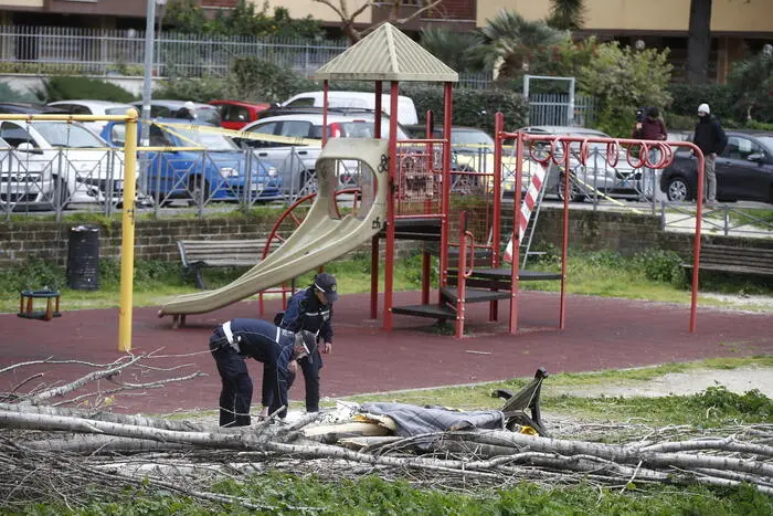 Donna muore travolta da un albero caduto per il vento: era al parco con i tre figli piccoli