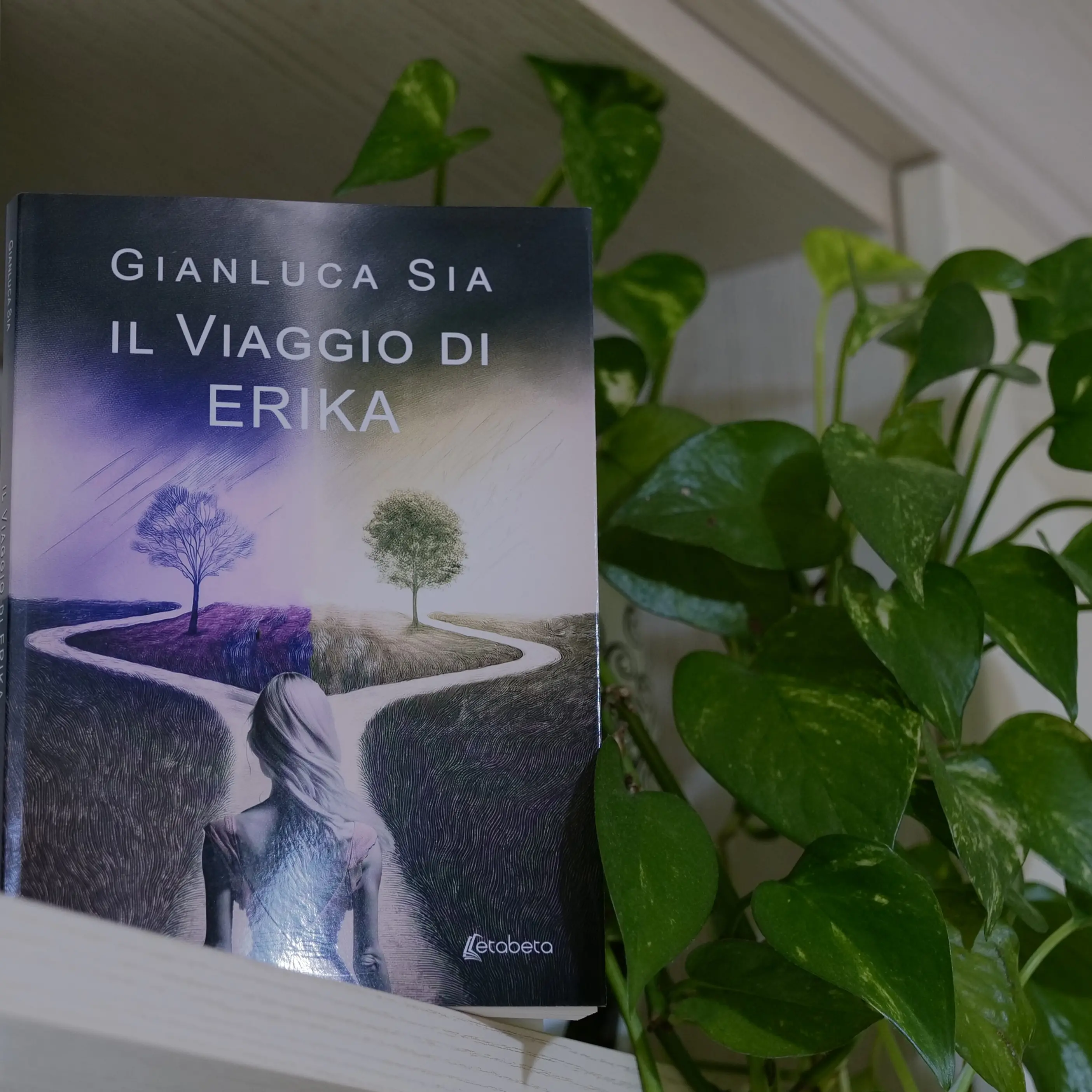 L’essenza della vita nel primo libro del regista Gianluca Sia, “Il viaggio di Erika”\n