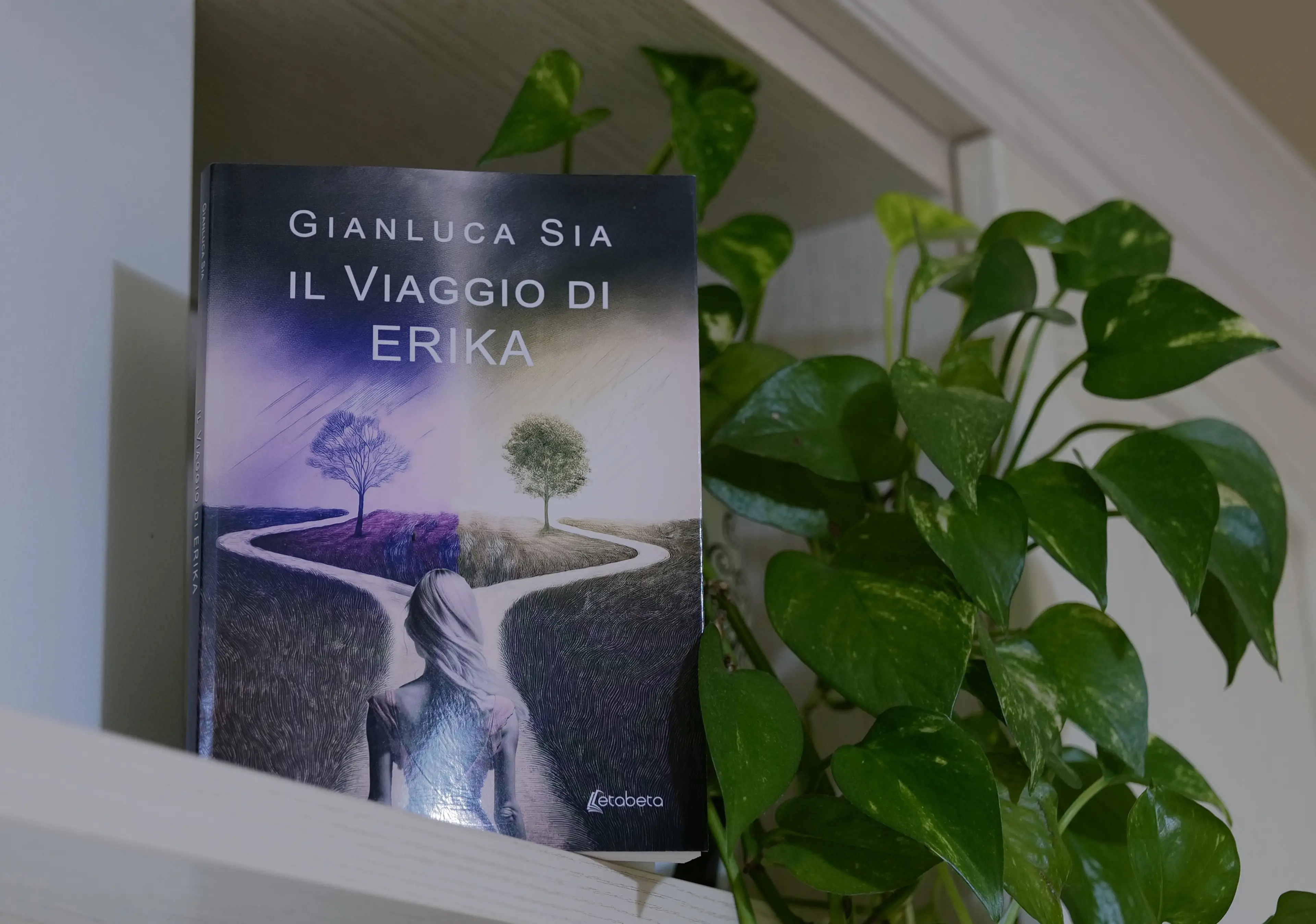 L’essenza della vita nel primo libro del regista Gianluca Sia, “Il viaggio di Erika”\n