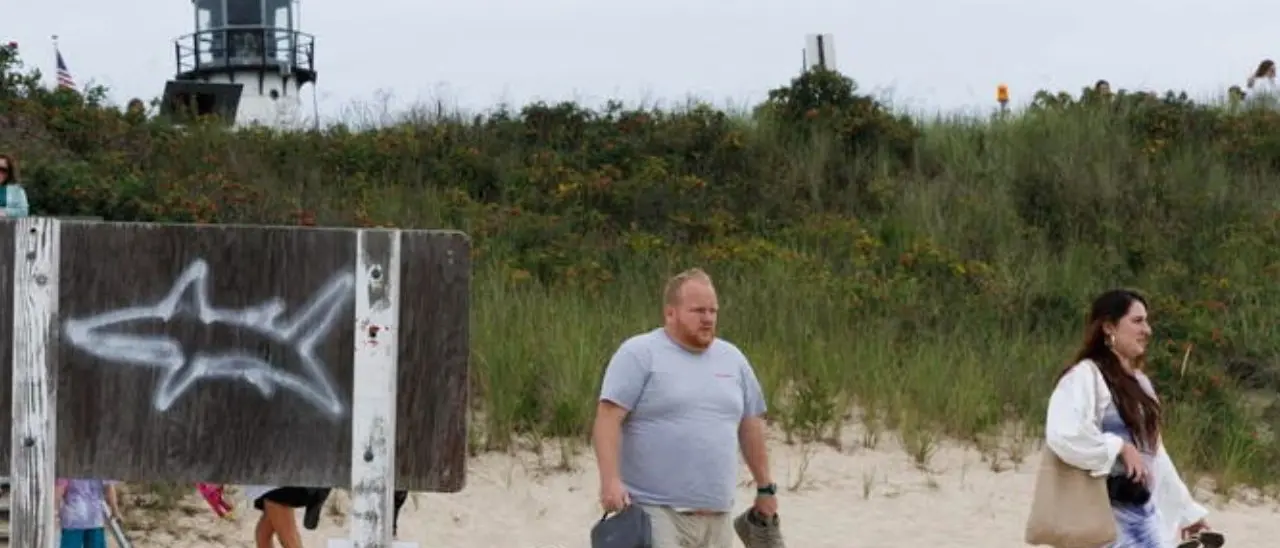 Mar Rosso, sub italiani attaccati da uno squalo in Egitto: un morto e un ferito