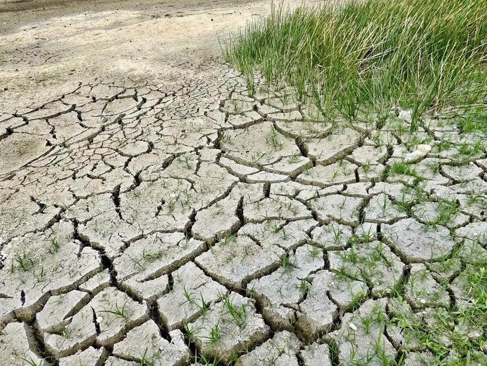 Calabria senz’acqua, il 2024 è stato l’anno dell’apocalisse: rubinetti a secco e forniture razionate dal Pollino allo Stretto