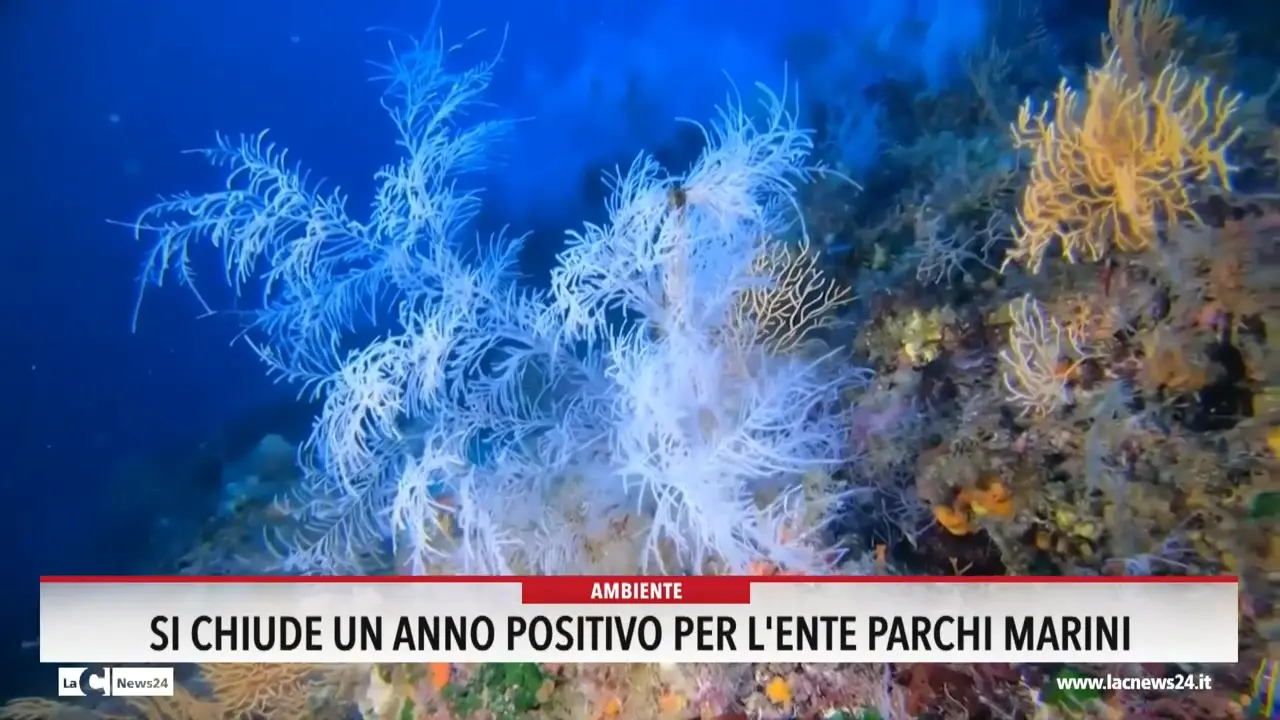 Si chiude un anno positivo per l'Ente parchi marini