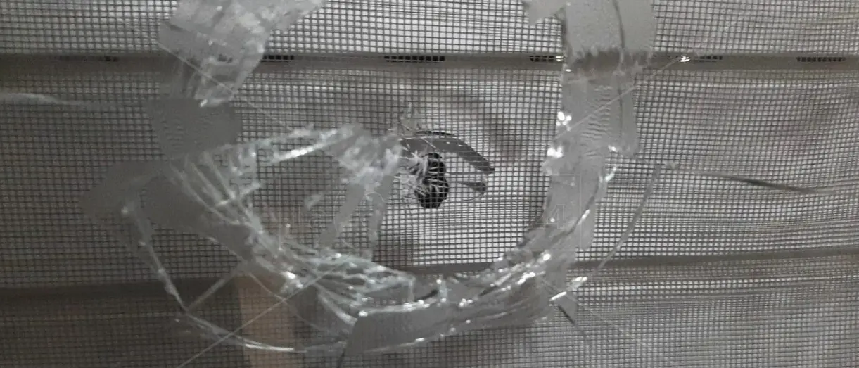 Catanzaro, spari contro una palazzina nella notte di\u00A0Capodanno: il proiettile finisce nella stanza di un giovane mentre dorme\n