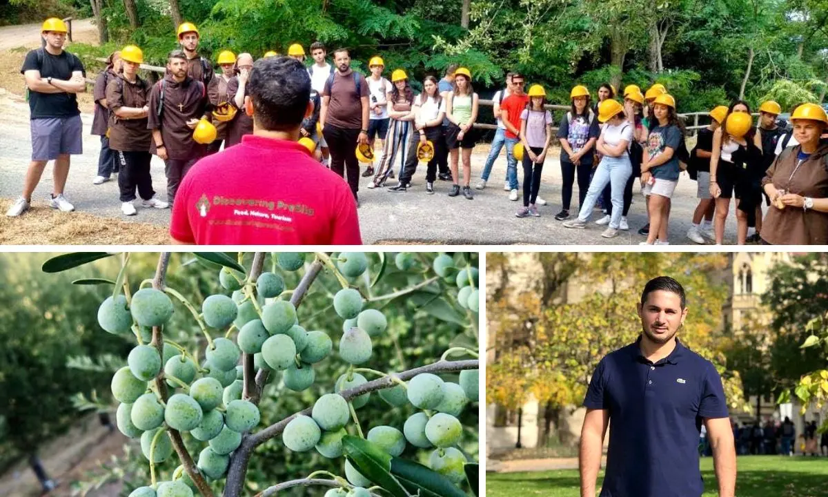 «Volevo tornare e far conoscere la Calabria»: ecco come nasce l’Uliveto\u00A0di famiglia che produce olio di qualità\n