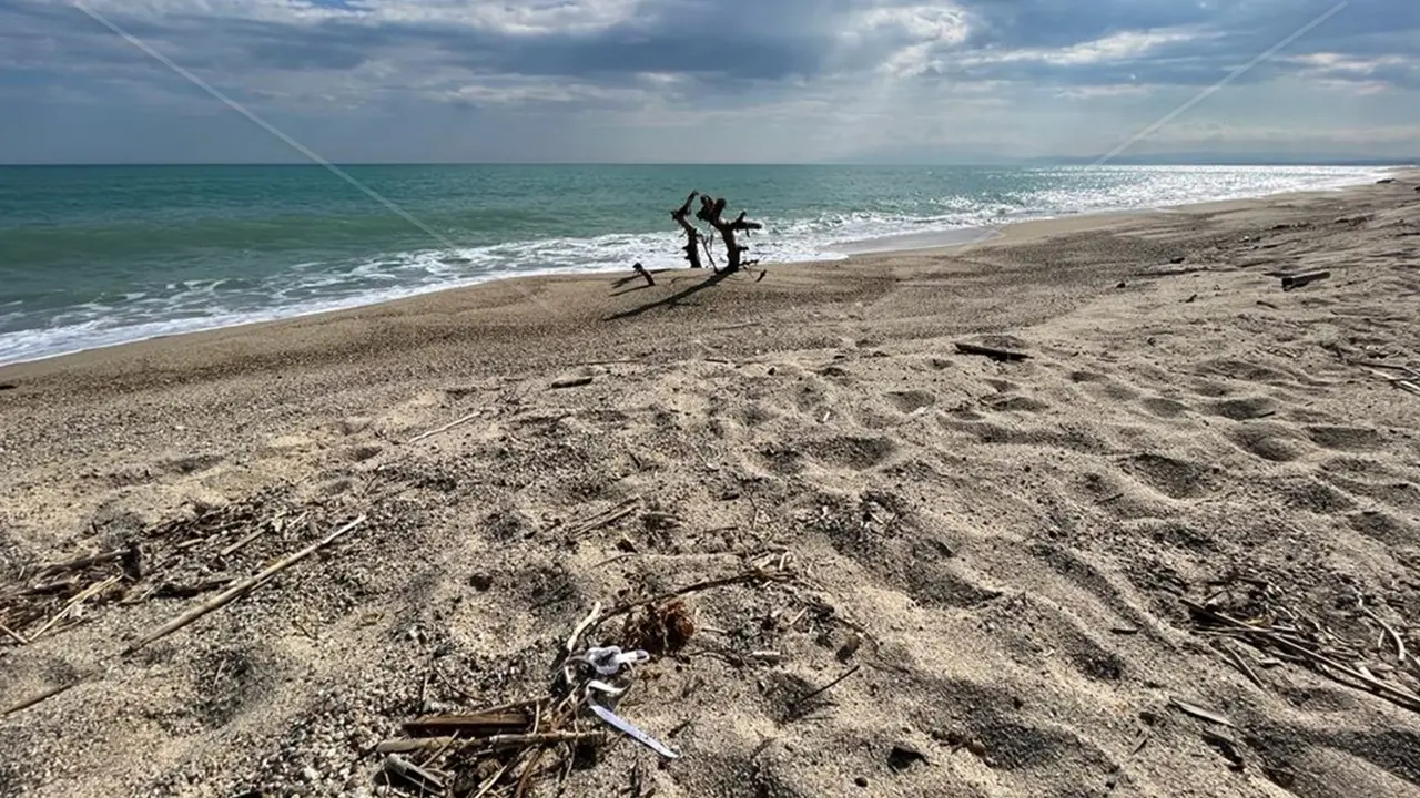 <p>La spiaggia di Steccato di Cutro</p>\\n