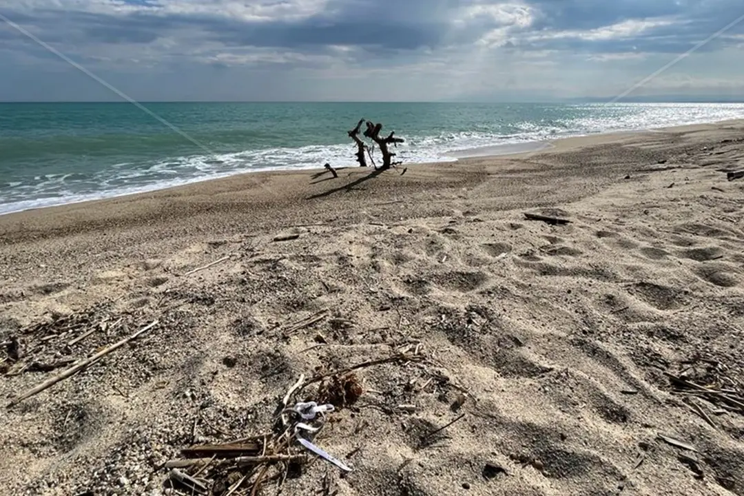 <p>La spiaggia di Steccato di Cutro</p>\\n