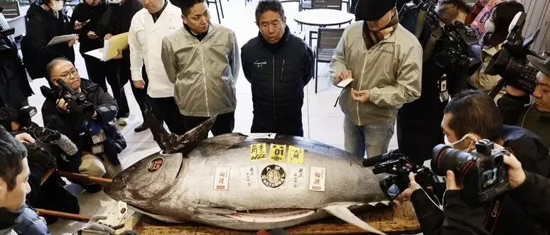 Tonno venduto a 1,2 milioni di euro alla prima asta dell'anno a Tokyo: è il secondo prezzo più alto mai registrato