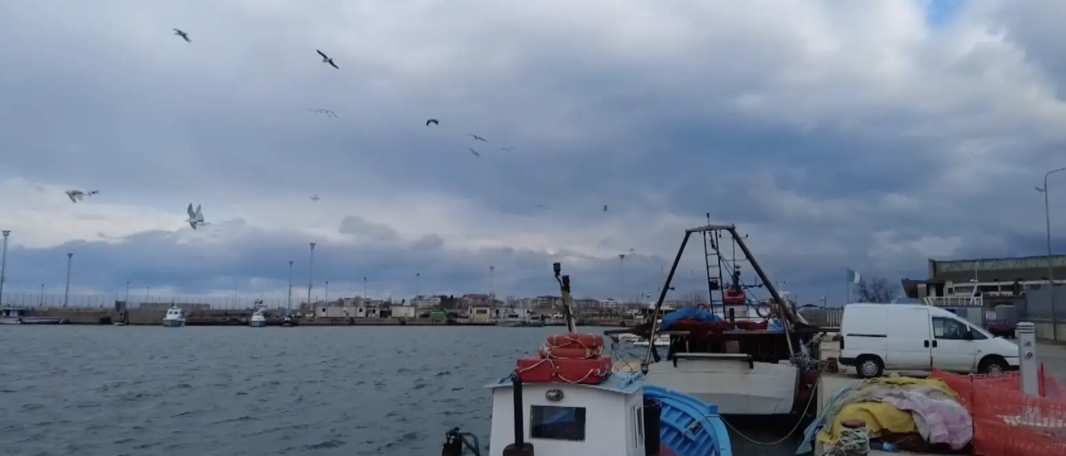 Da simbolo di crisi a modello di successo: così il mercato ittico di Schiavonea si prepara a ripartire