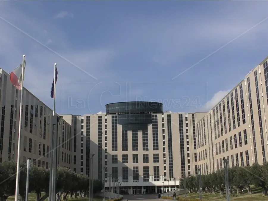 Tirocinanti ministeriali, i 266 esclusi chiedono un nuovo concorso: «Confidiamo nell’operato di Occhiuto e Cannizzaro»