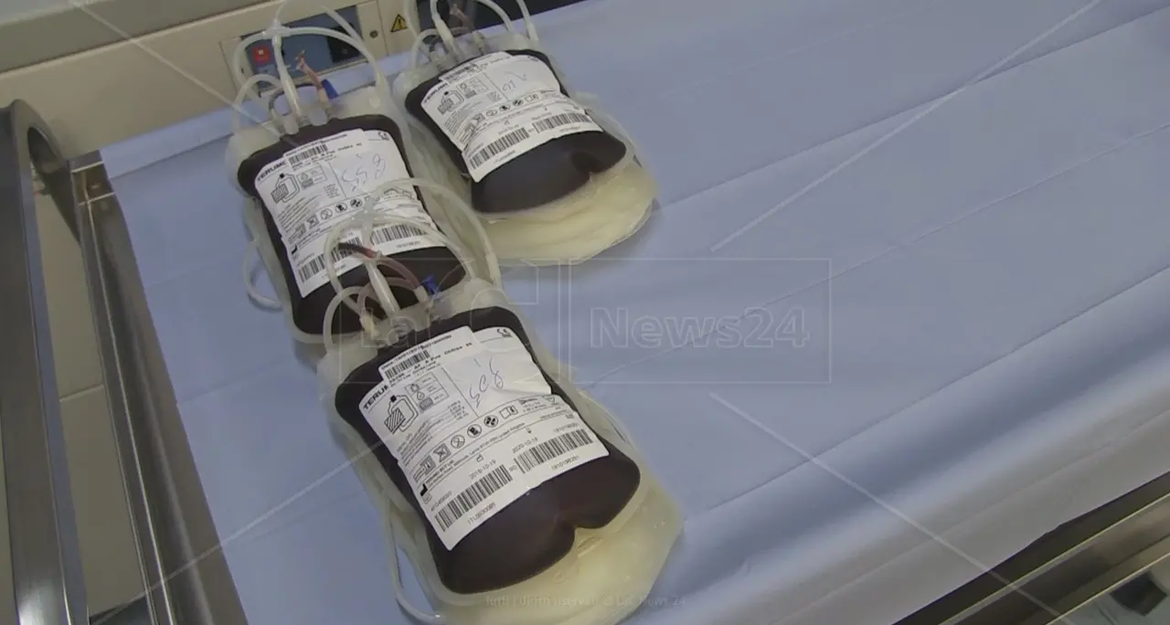 Cosenza, centro trasfusionale a corto di sangue. L’appello ai donatori\n