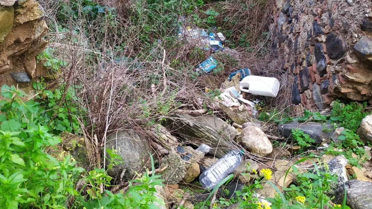 «Morti e casi di tumore aumentano»: a Reggio Calabria il comitato di Mosorrofa ha paura di discariche e incendi di rifiuti\n