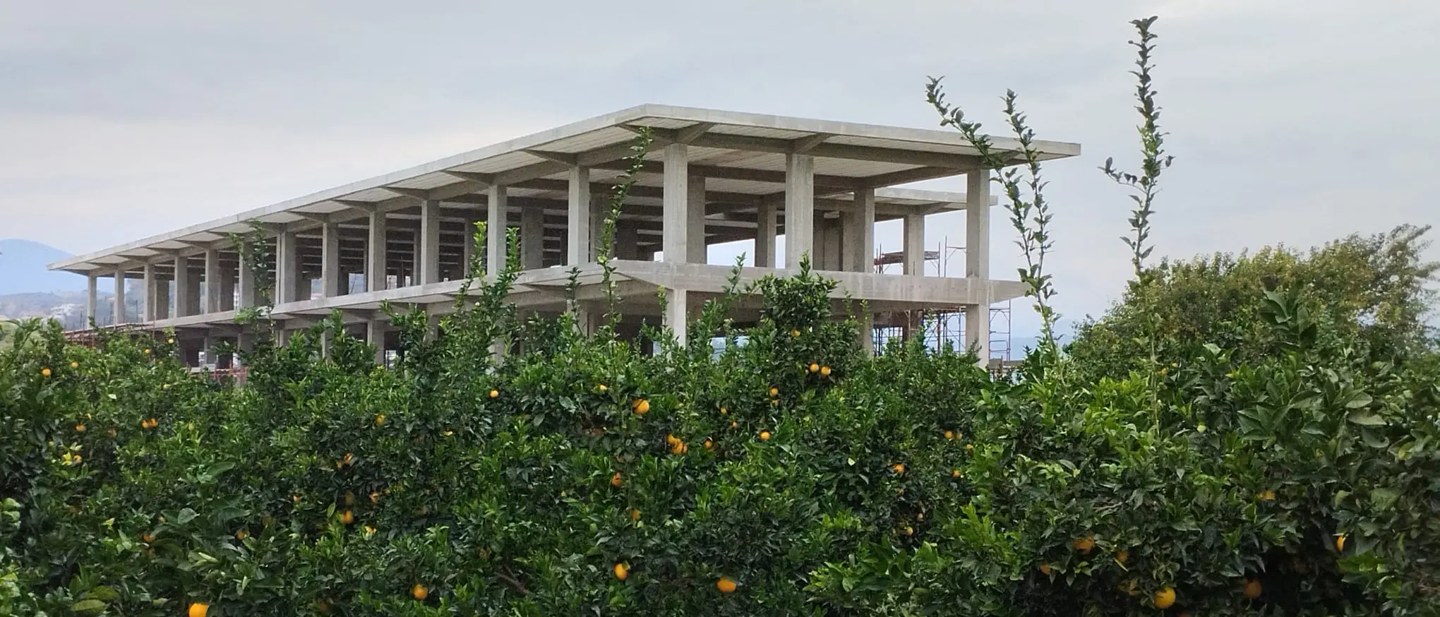 Nuova statale 106, la minaccia dell’Anas ai sindaci del Reggino che contestano il tracciato: «Si fa come diciamo noi o addio fondi»\n