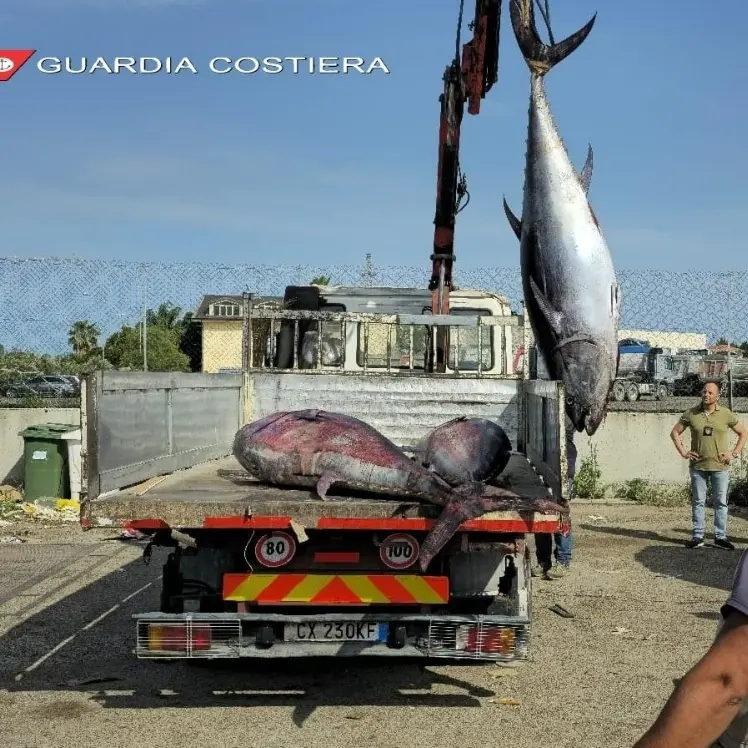 Dai controlli nei ristoranti alle attività in mare: nel Cosentino sequestrate 6 tonnellate di prodotti ittici ed elevate multe per 170mila euro