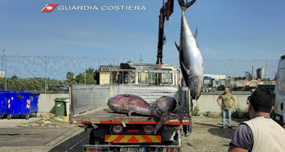 Dai controlli nei ristoranti alle attività in mare: nel Cosentino sequestrate 6 tonnellate di prodotti ittici ed elevate multe per 170mila euro