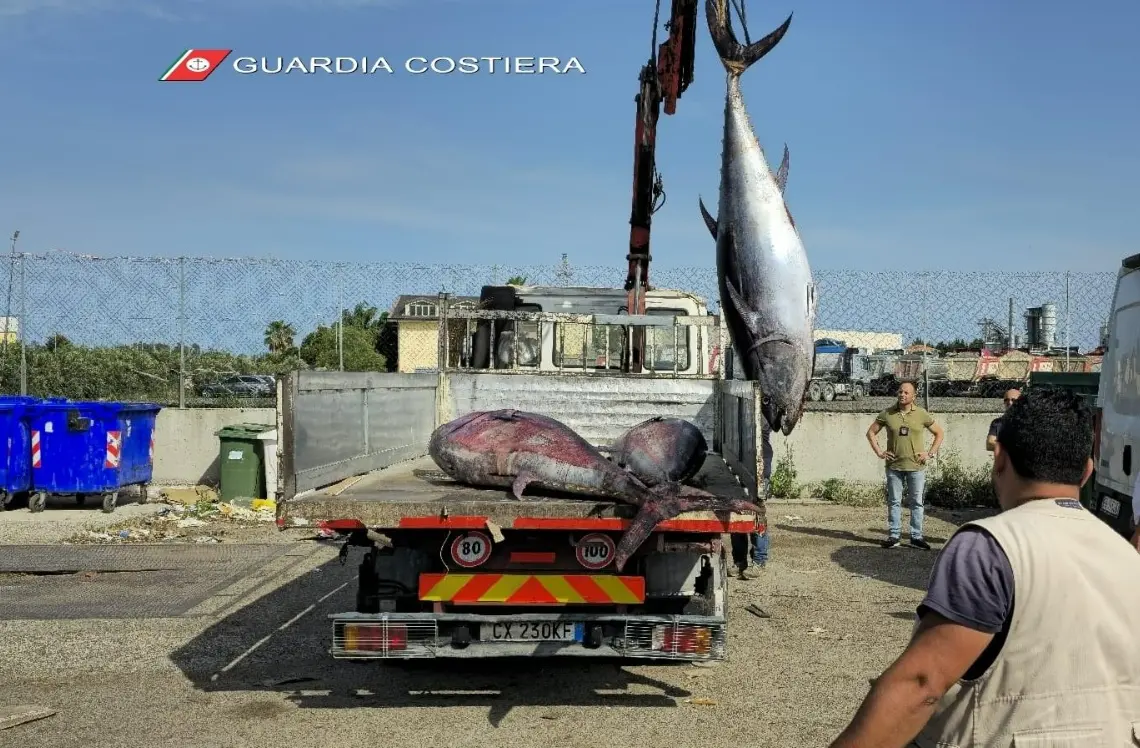 Dai controlli nei ristoranti alle attività in mare: nel Cosentino sequestrate 6 tonnellate di prodotti ittici ed elevate multe per 170mila euro