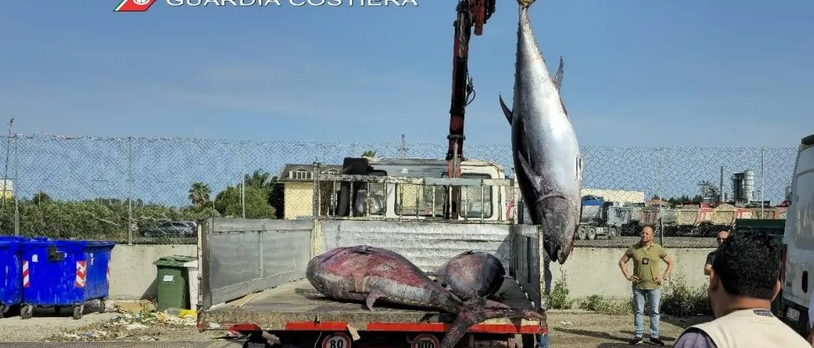 Dai controlli nei ristoranti alle attività in mare: nel Cosentino sequestrate 6 tonnellate di prodotti ittici ed elevate multe per 170mila euro