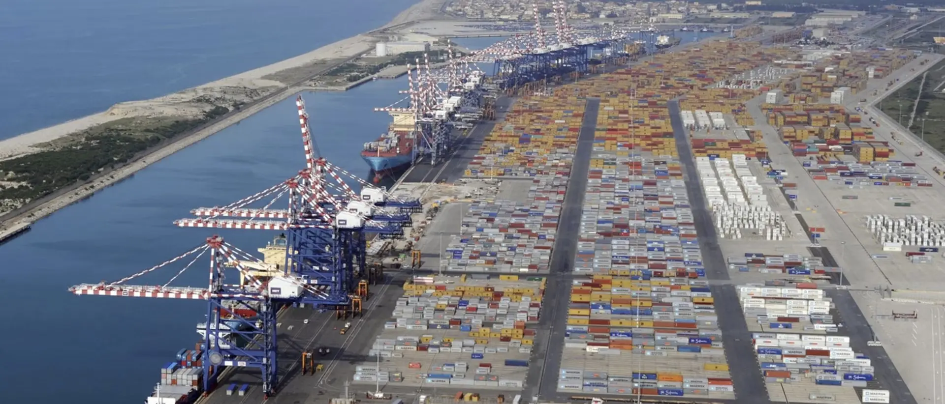 Il ministero cerca un nuovo presidente per l’Autorità portuale di Gioia Tauro: «Ma non è un concorso»\n