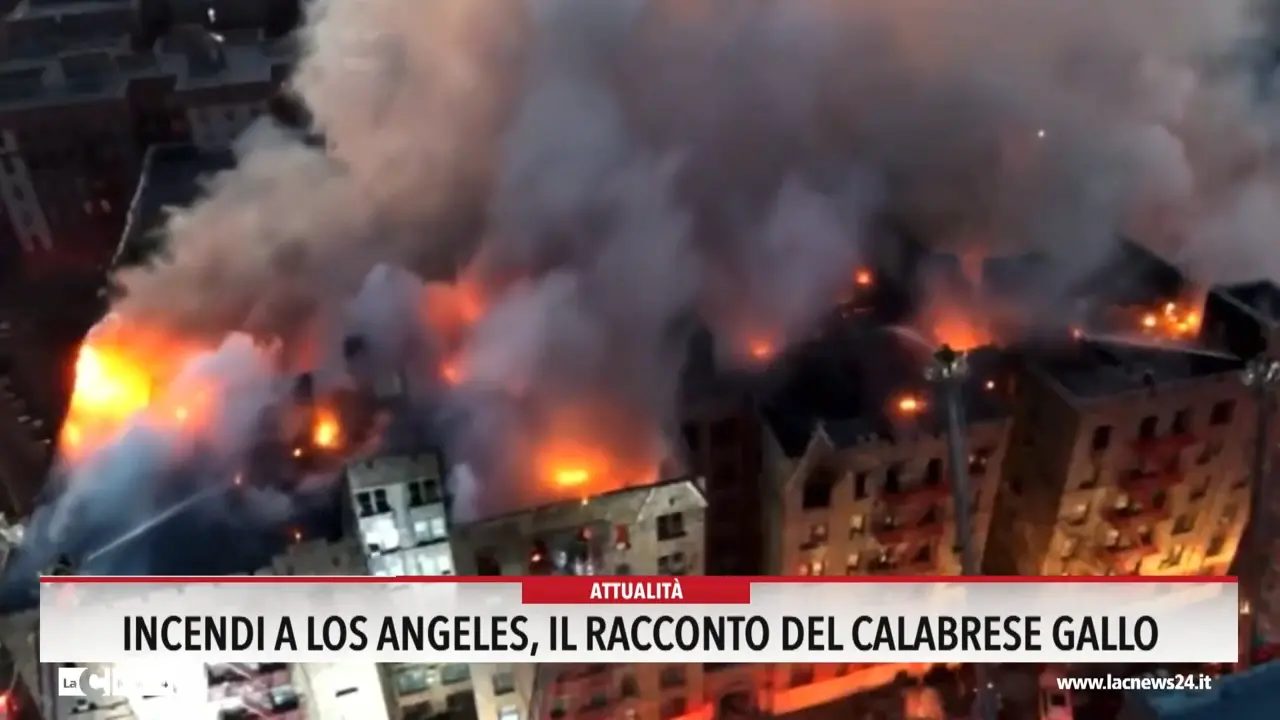 Incendi a Los Angeles, il racconto del calabrese Gallo