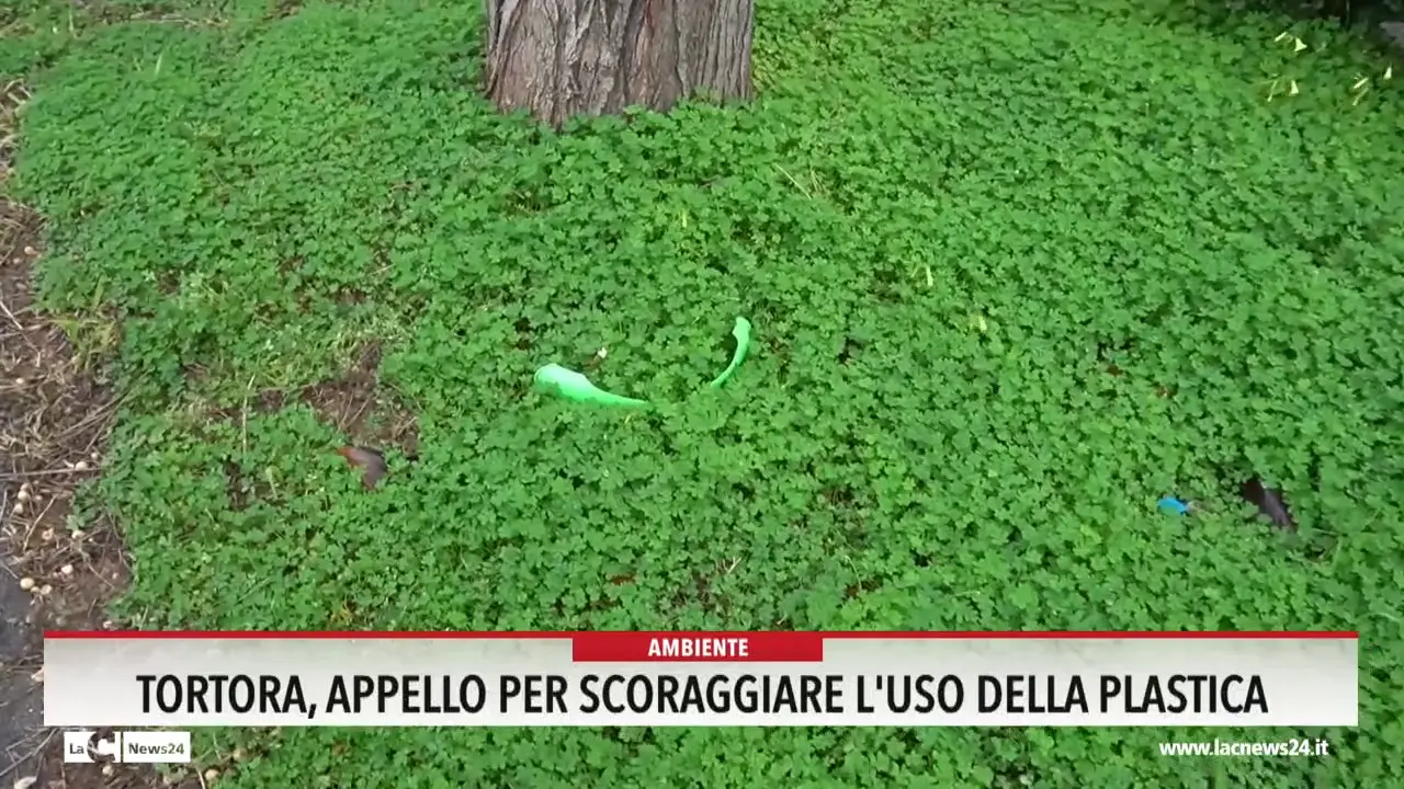 Tortora, appello per scoraggiare l'uso della plastica