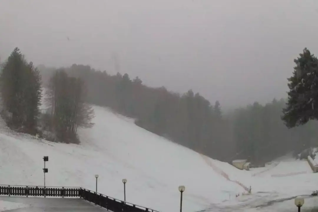 Le piste di Camigliatello Silano (Foto webcam)