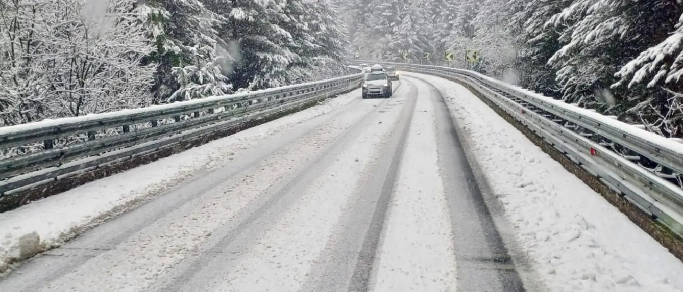 Nevica in Calabria,\u00A0decine di mezzi e operatori a lavoro senza sosta su statali e autostrade\n
