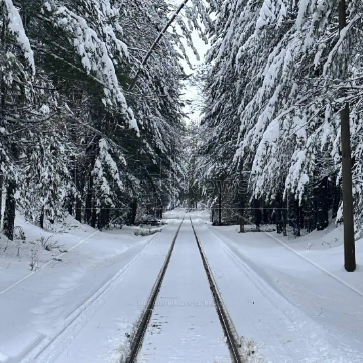 Meteo in Calabria, si va verso il miglioramento ma continuerà a nevicare anche a bassa quota\n