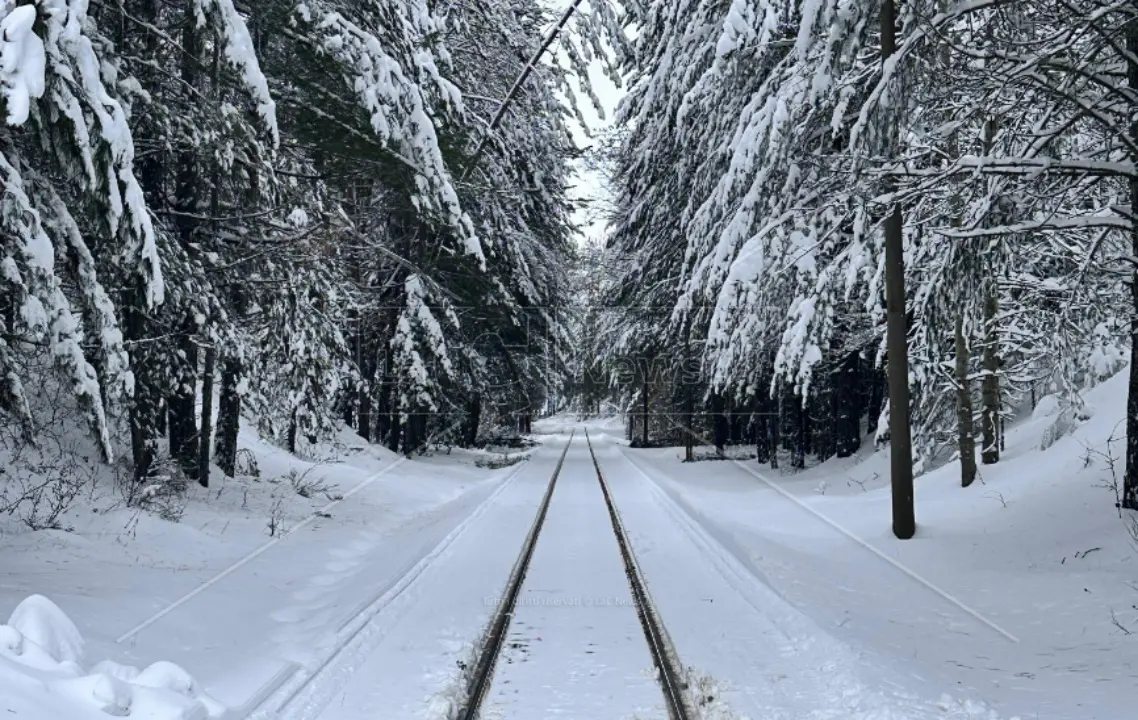 Meteo in Calabria, si va verso il miglioramento ma continuerà a nevicare anche a bassa quota\n