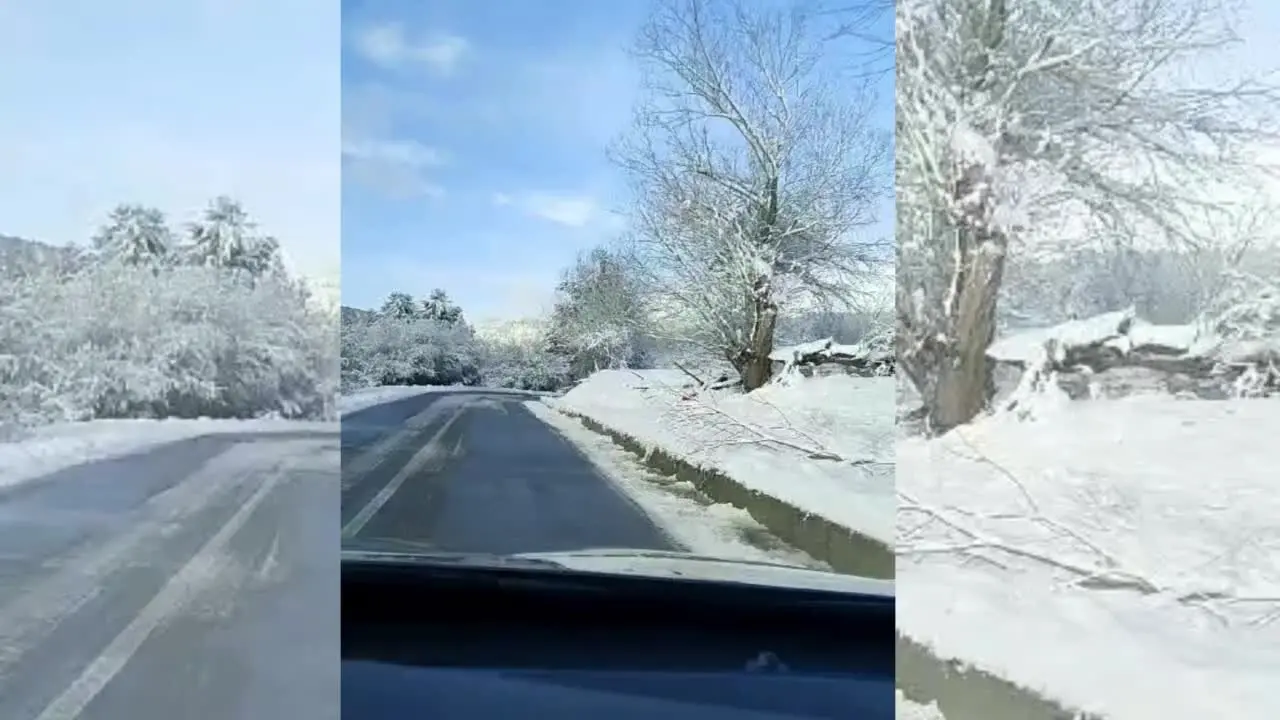 Neve nel Cosentino, le immagini della strada che collega San Giovanni in Fiore con Lorica