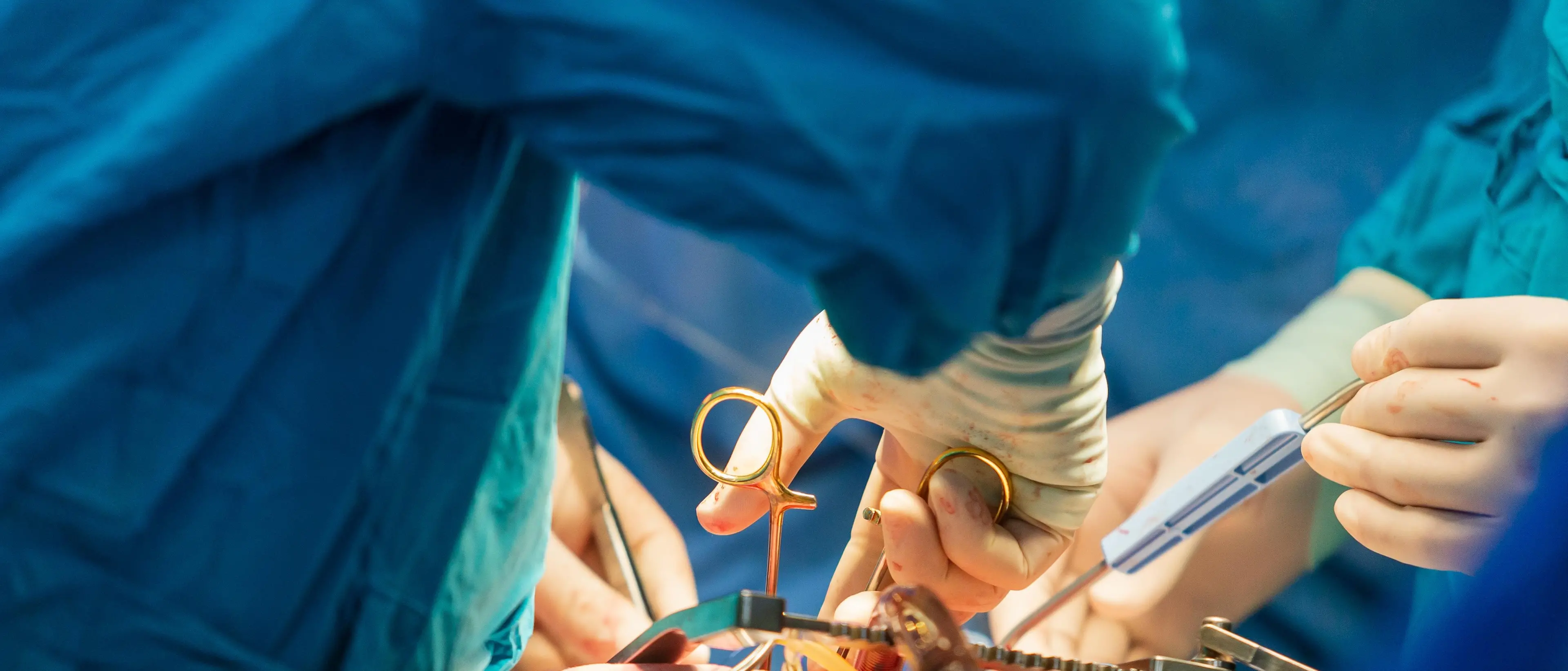 Trapianto degli organi, anno da record. In Calabria aumentano le donazioni ma ancora in tanti si oppongono\n