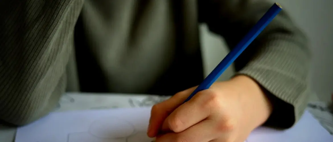 Il Comune di Catanzaro ammonisce dieci famiglie che non mandano i figli a scuola\n