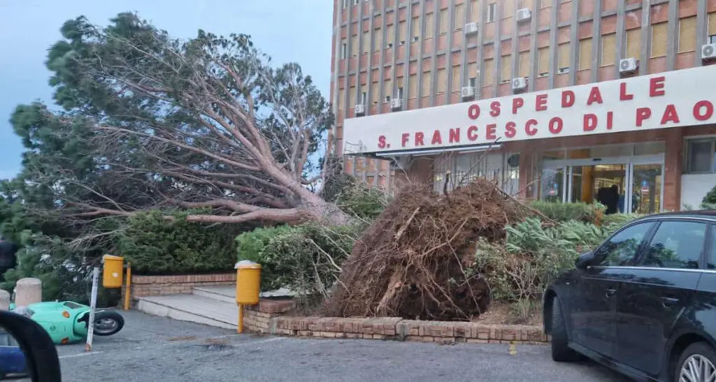 Tirreno cosentino flagellato dal maltempo: numerosi alberi caduti a Paola e Santa Maria del Cedro, chiuso un tratto della statale 18