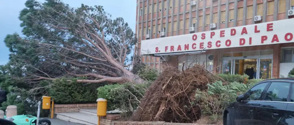 Tirreno cosentino flagellato dal maltempo: numerosi alberi caduti a Paola e Santa Maria del Cedro, chiuso un tratto della statale 18