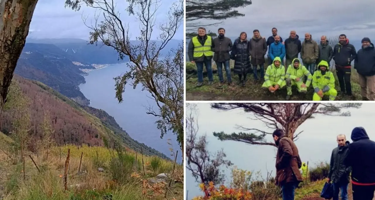 Palmi, ampia opera di rimboschimento del Monte Sant'Elia e della costa:\u00A0verranno piantati 15mila alberi\n