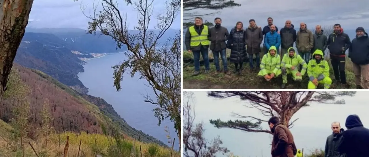 Palmi, ampia opera di rimboschimento del Monte Sant'Elia e della costa:\u00A0verranno piantati 15mila alberi\n
