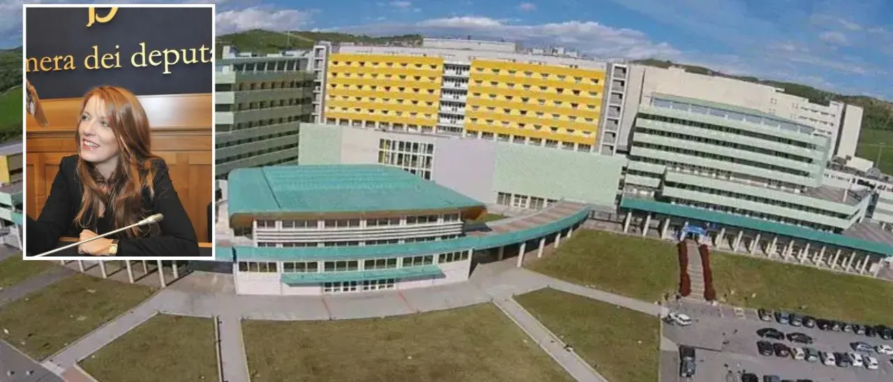 Animali maltrattati nei laboratori all’Università Magna Graecia, Brambilla: «Scoperchiato vaso pieno di obbrobri, grazie agli investigatori»