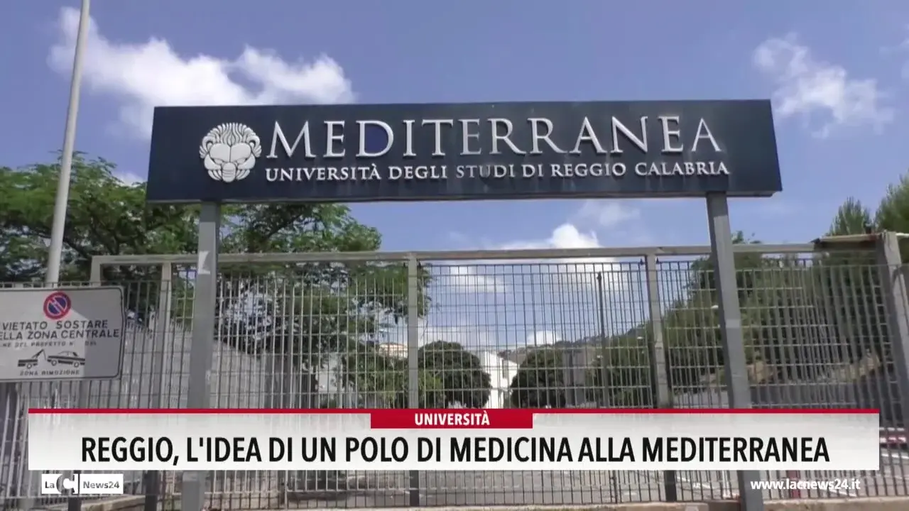 Reggio, l'idea di un polo di Medicina alla Mediterranea